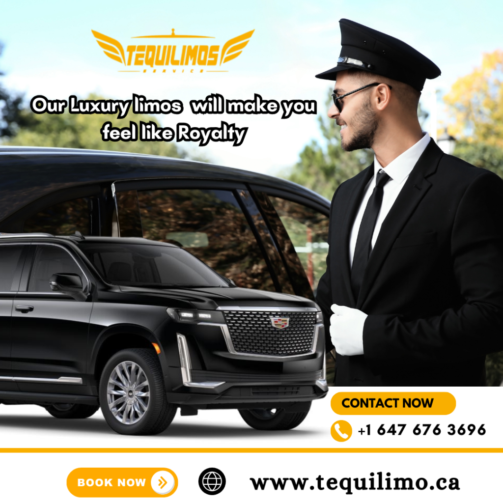 Simplify Your Travel with Our Professional Airport Transfer